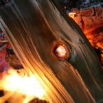 Ahnenkraft zu Samhain